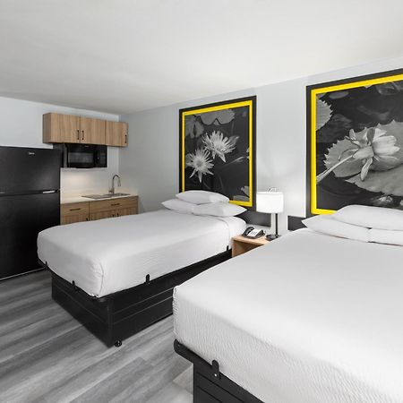 Super 8 By Wyndham Alexandria La 호텔 외부 사진